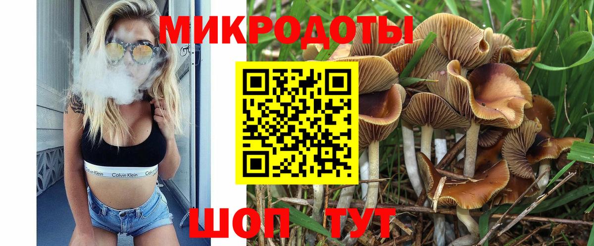 Псилоцибиновые грибы GOLDEN TEACHER Каспийск
